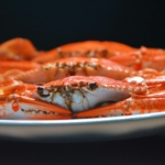 Thumbnail of post image 104