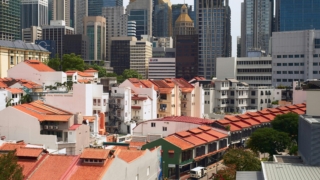 Thumbnail of post image 047